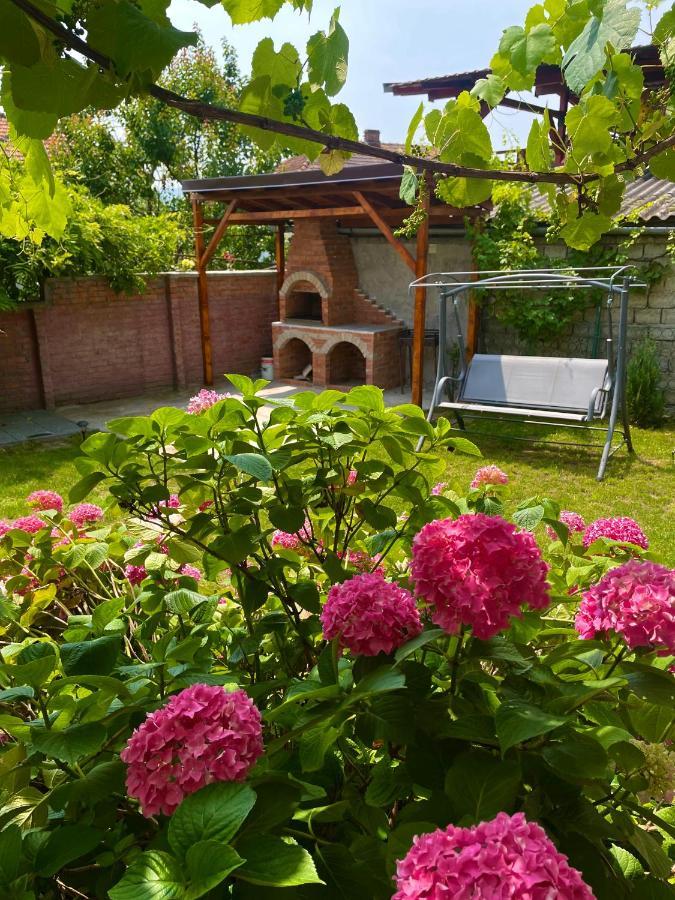 Holiday Home Esku Orşova Extérieur photo